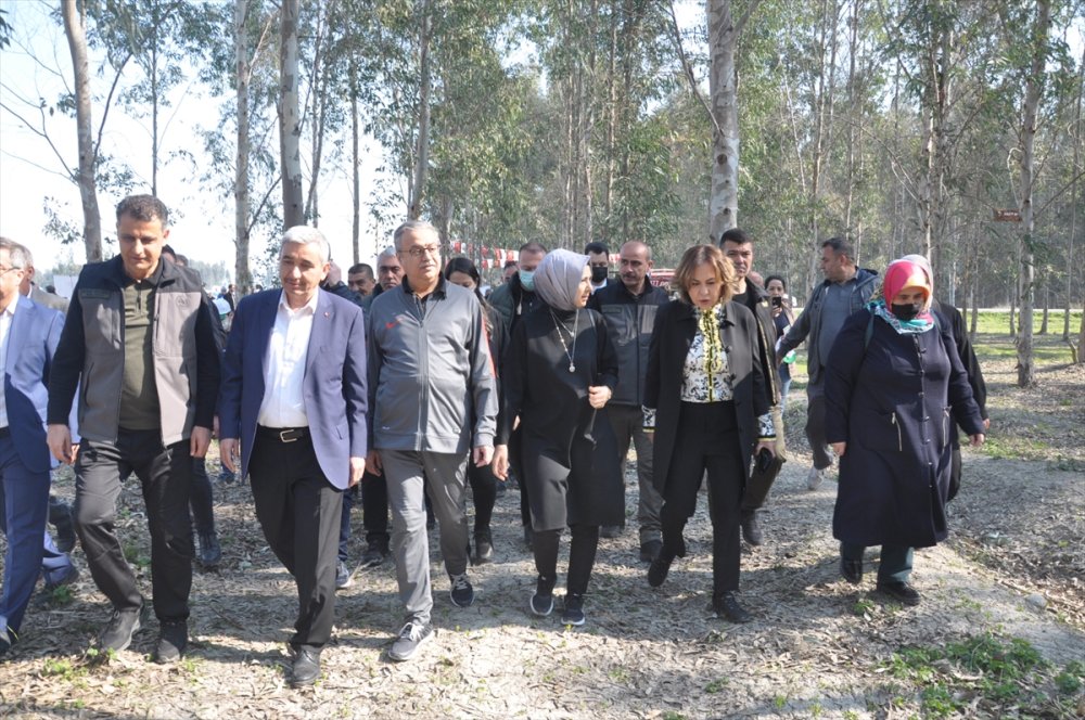 Mersin'de Karabucak Okaliptüs Ormanı Ekoturizm Parkuru Açıldı