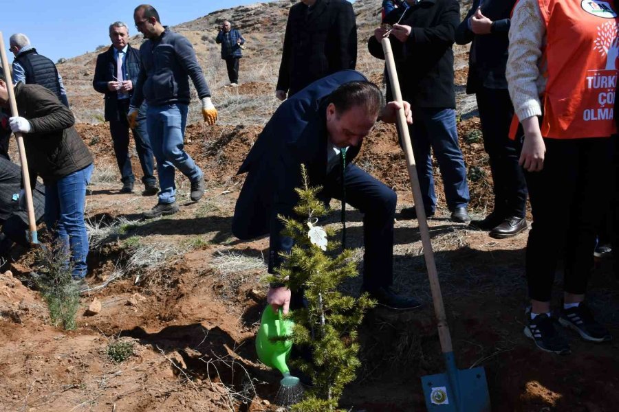 Aksaray’da Şehit Ve Gaziler İçin Fidan Dikildi