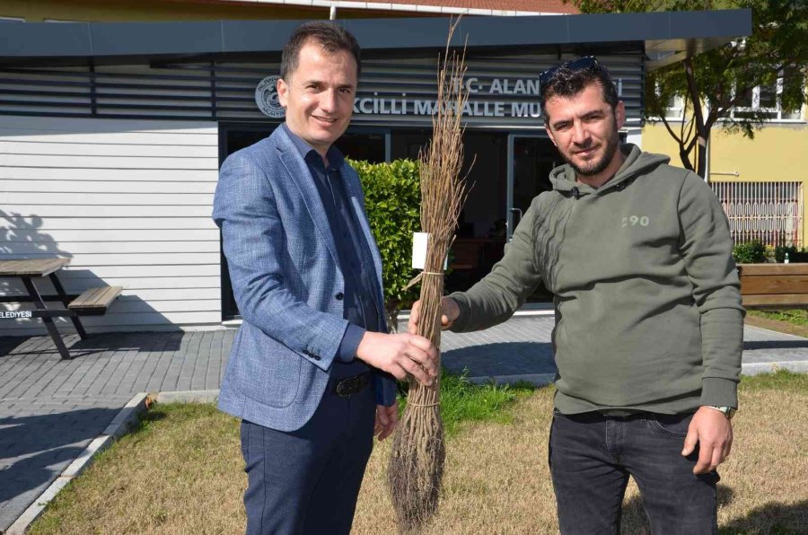Alanya’da 140 Bin Meyve Fidanı Dağıtıldı