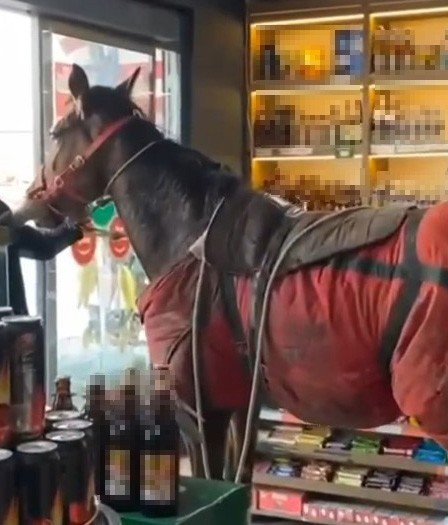 Antalya’da Hırsızın Çaldığı Atla Girdiği Markette Bu Kez 200 Bin Tl’lik Hırsızlık Şoku