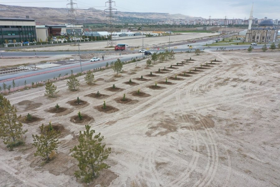 Kocasinan’da Hedef Yine 100 Bin Ağaç Dikmek