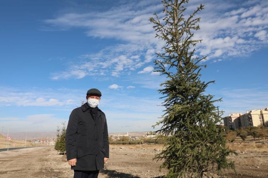 Kocasinan’da Hedef Yine 100 Bin Ağaç Dikmek