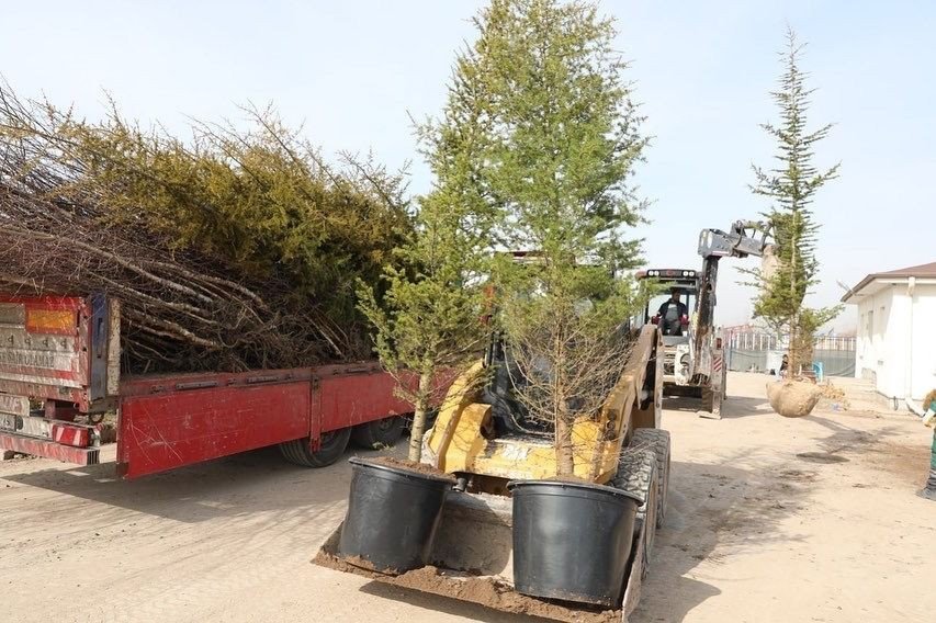 Başkan Çolakbayrakdar: "yeşillendirme Çalışmalarıyla Şehrimizi Daha Da Güzelleştireceğiz"