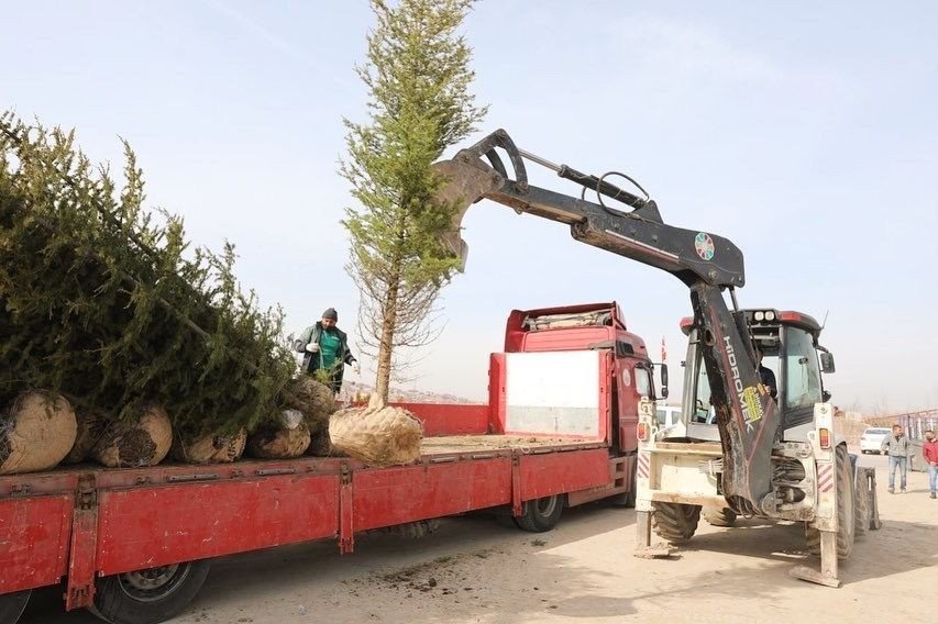 Başkan Çolakbayrakdar: "yeşillendirme Çalışmalarıyla Şehrimizi Daha Da Güzelleştireceğiz"