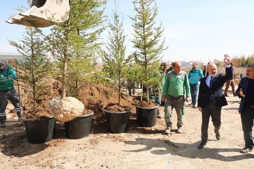 Başkan Çolakbayrakdar: "yeşillendirme Çalışmalarıyla Şehrimizi Daha Da Güzelleştireceğiz"