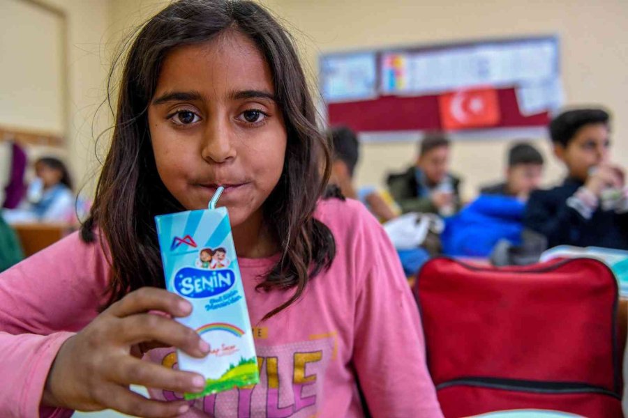 Büyükşehir Belediyesi, Öğrencilere 1 Milyon 500 Bin Adet Kutu Süt Dağıtmayı Hedefliyor