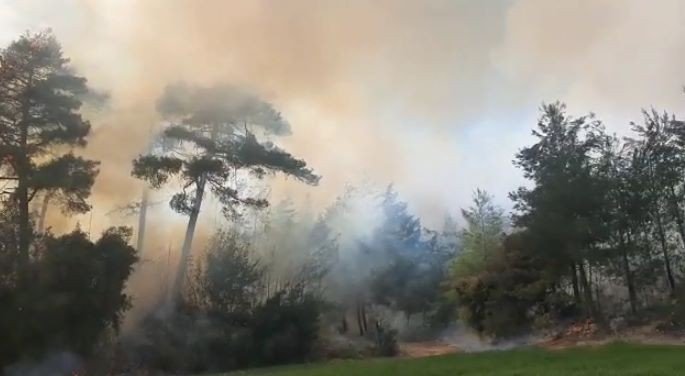 Tarsus’ta Orman Yangını