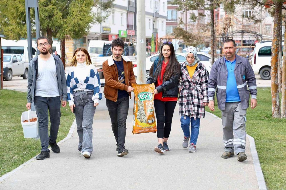 Aksaray’da Sokak Hayvanları İçin Mama Ve Su Bırakıldı