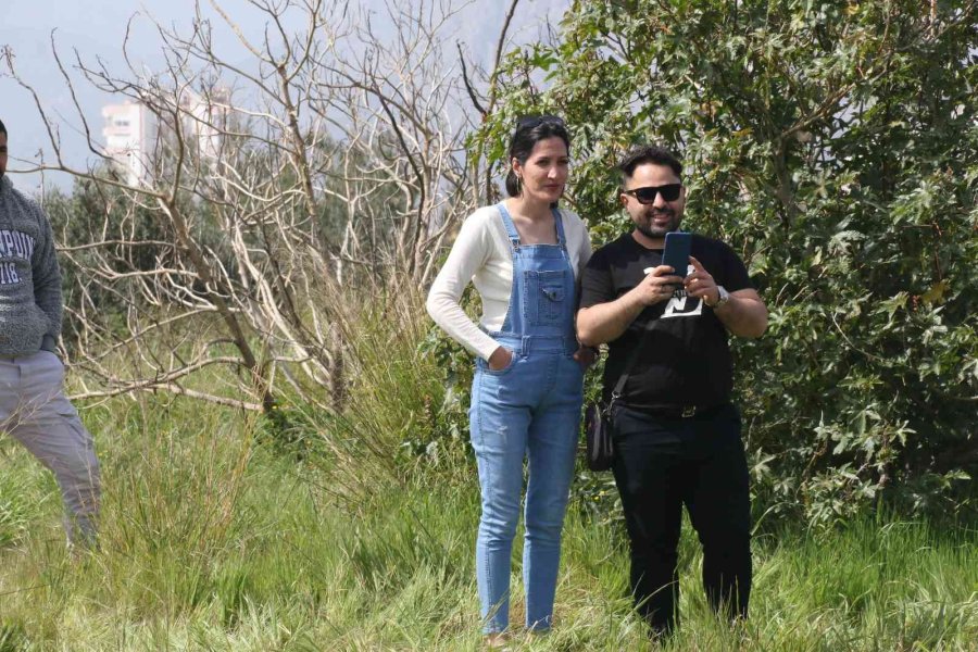 Düştüğü 20 Metrelik Vadiden 2 Saat Süren Operasyonla Kurtarılan Adam: “kendi Soruşturmamı Kendim Yapacağım”