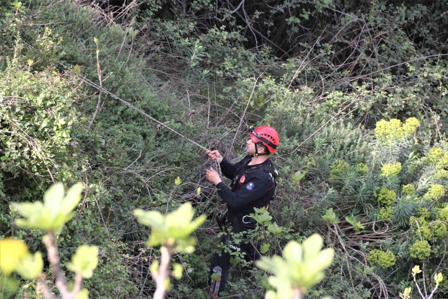Düştüğü 20 Metrelik Vadiden 2 Saat Süren Operasyonla Kurtarılan Adam: “kendi Soruşturmamı Kendim Yapacağım”
