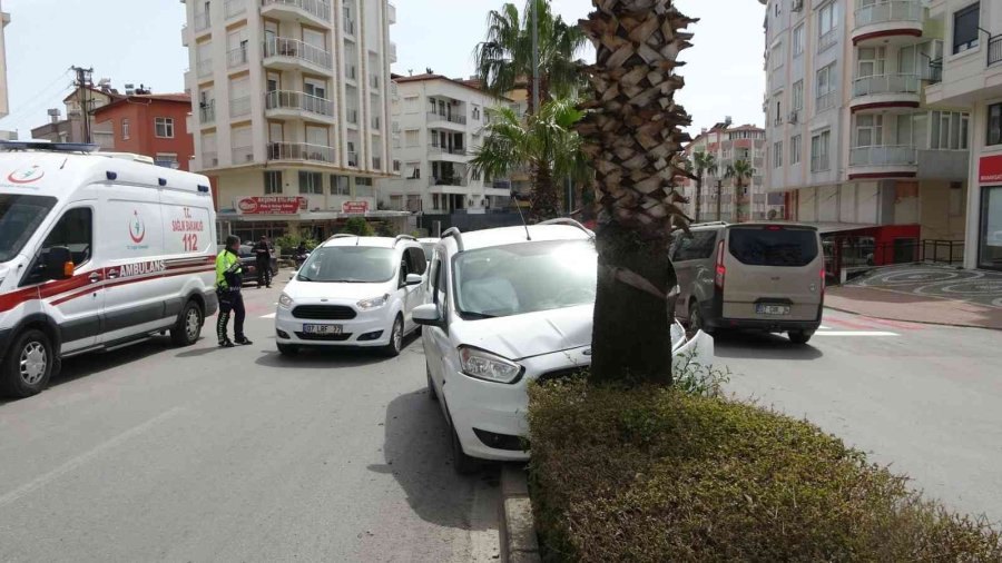 Kontrolden Çıkan Ticari Araç Refüjdeki Palmiyeye Çarptı: 3 Yaralı