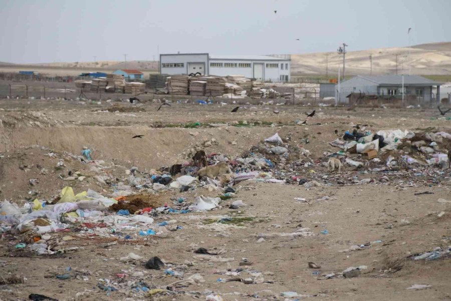 Uyarı Tabelasına Aldırmadan Çöplüğe Çevirdiler