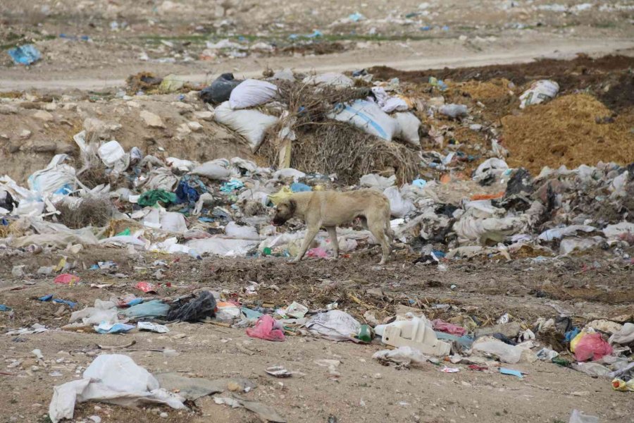 Uyarı Tabelasına Aldırmadan Çöplüğe Çevirdiler