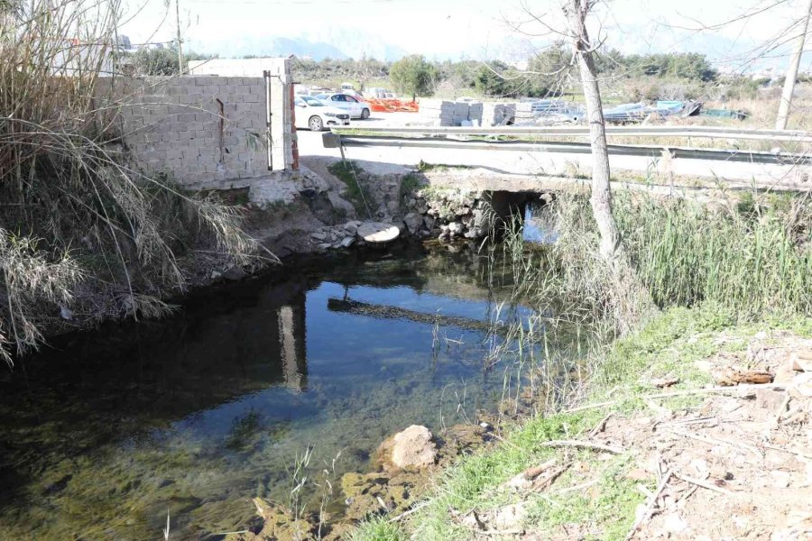 Antalya’da Müsilaj Tehlikesine Karşı Saha Çalışması