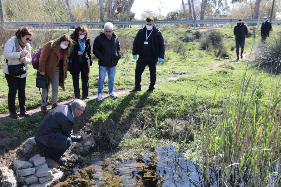 Antalya’da Müsilaj Tehlikesine Karşı Saha Çalışması