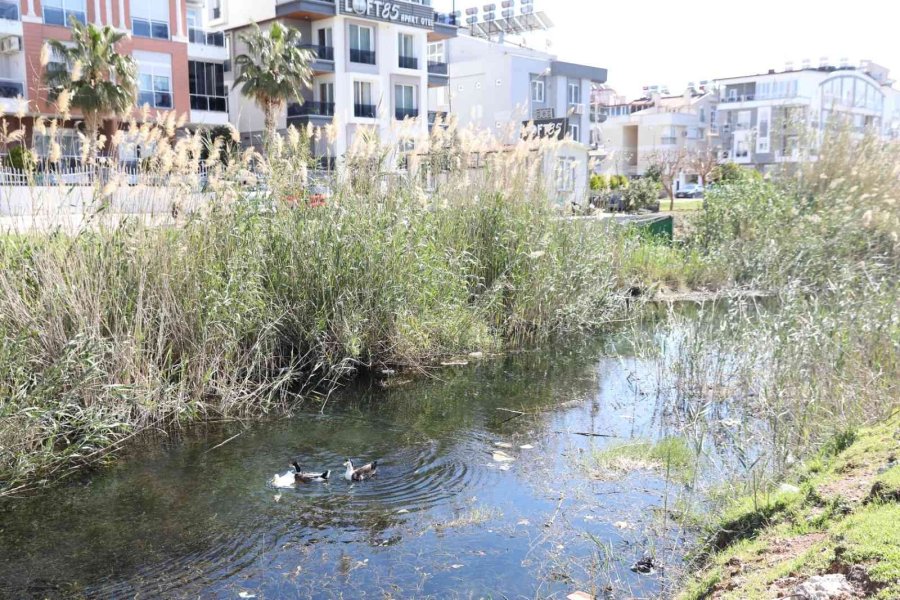 Antalya’da Müsilaj Tehlikesine Karşı Saha Çalışması