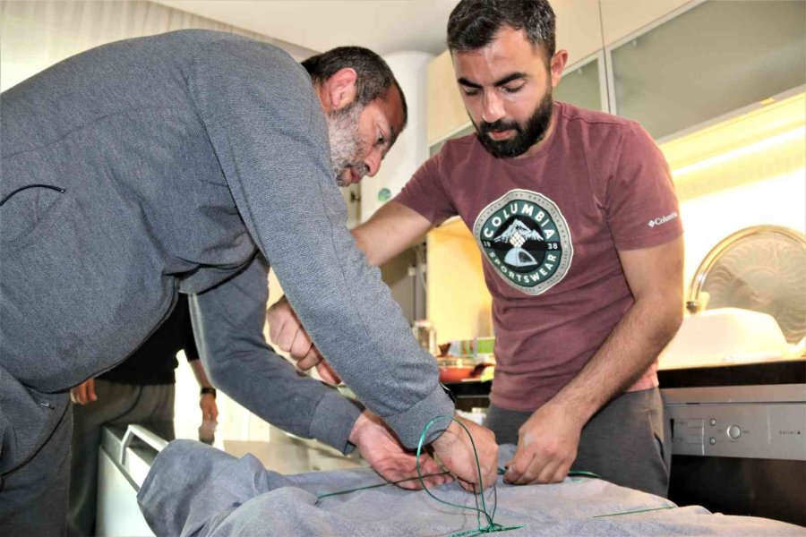 Oltayla Tutulan Dev Orkinosu Kamyonetle Taşıyıp, Evin Buzdolabına Güçlükle Sığdırdılar