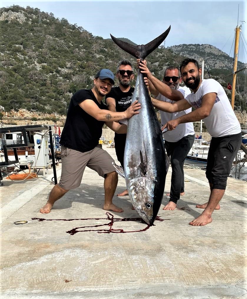 Oltayla Tutulan Dev Orkinosu Kamyonetle Taşıyıp, Evin Buzdolabına Güçlükle Sığdırdılar