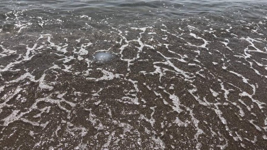 Kıyının Her Yerinde, Dokunanı Yakıyor