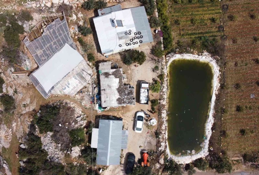 Gören Şaşırdı... Tüysüz Doğdu, Bebek Gibi Bakılıyor