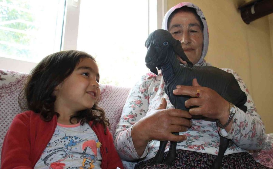 Gören Şaşırdı... Tüysüz Doğdu, Bebek Gibi Bakılıyor