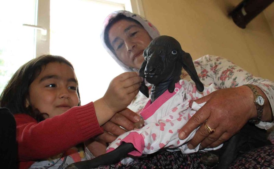 Gören Şaşırdı... Tüysüz Doğdu, Bebek Gibi Bakılıyor