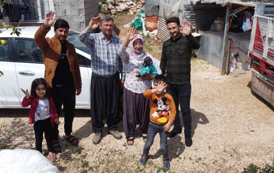 Gören Şaşırdı... Tüysüz Doğdu, Bebek Gibi Bakılıyor