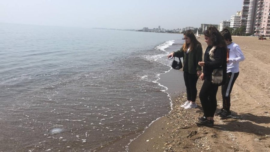 Kıyının Her Yerinde, Dokunanı Yakıyor