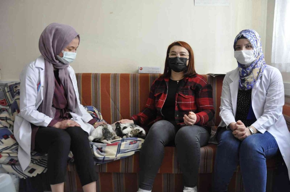 Karaman'da Hamile Kedi Sağlık Ocağında Doğurdu