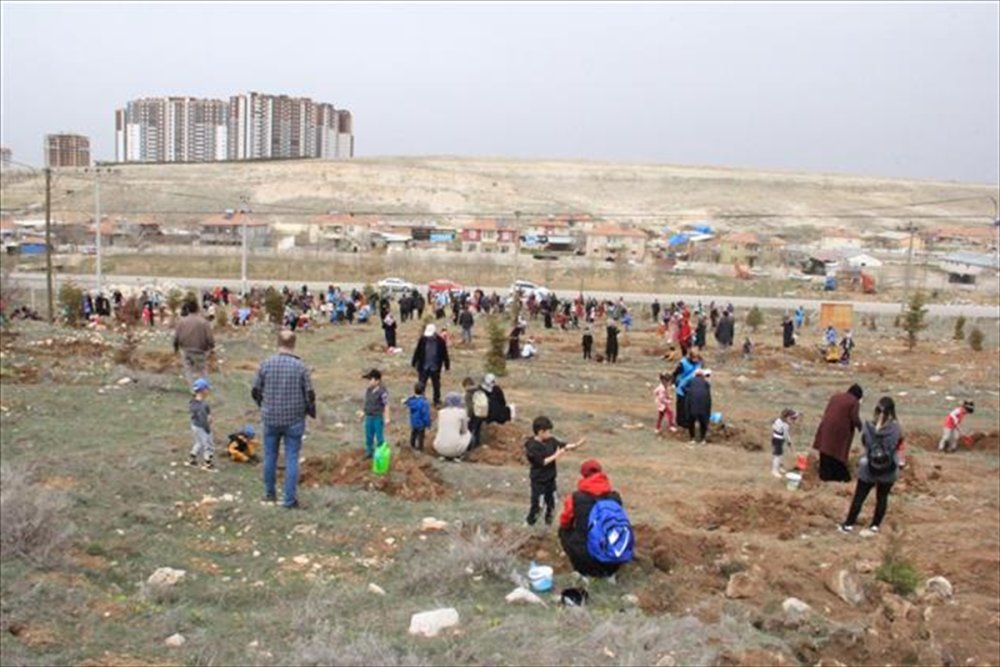 Karaman'da "Fidanımla Büyüyorum" Etkinliği Yapıldı