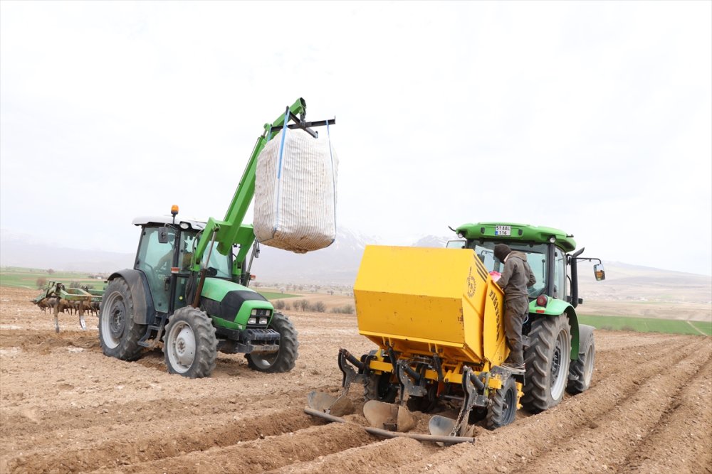 Niğde'de Erkenci Patates Ekimi Devam Ediyor