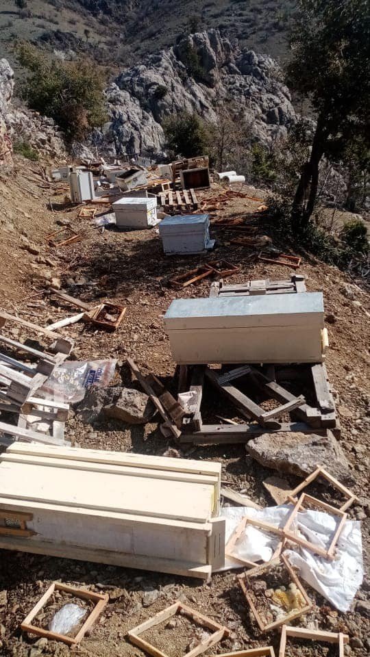 Karaman’da Arı Kovanları Ayıların Hışmına Uğradı
