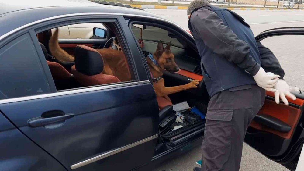 Araçtaki Uyuşturucu Narkotik Detektörü "Kaput"tan Kaçmadı