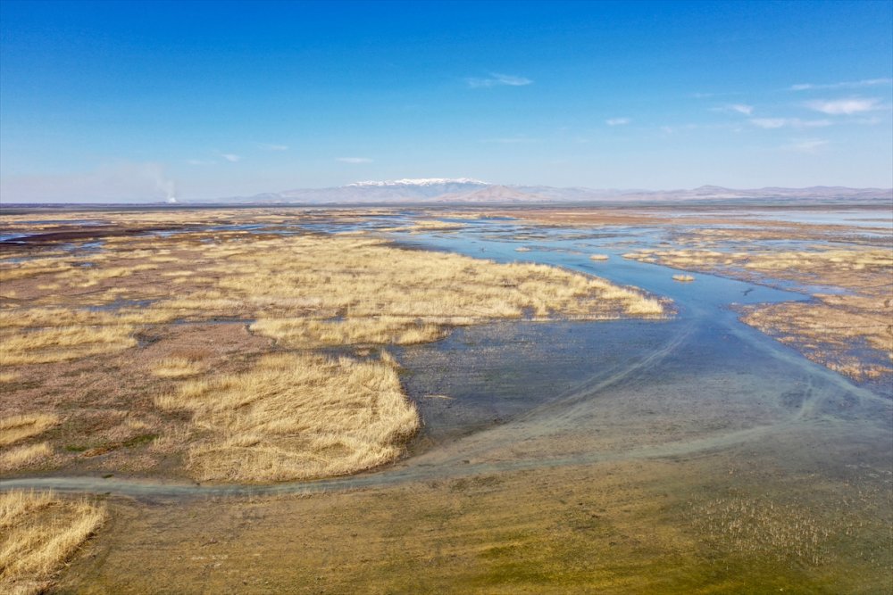 Akşehir Gölünde Maya Tuttu