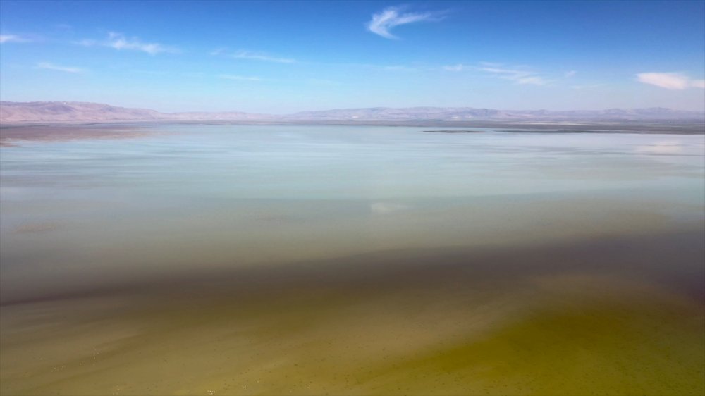 Akşehir Gölünde Maya Tuttu