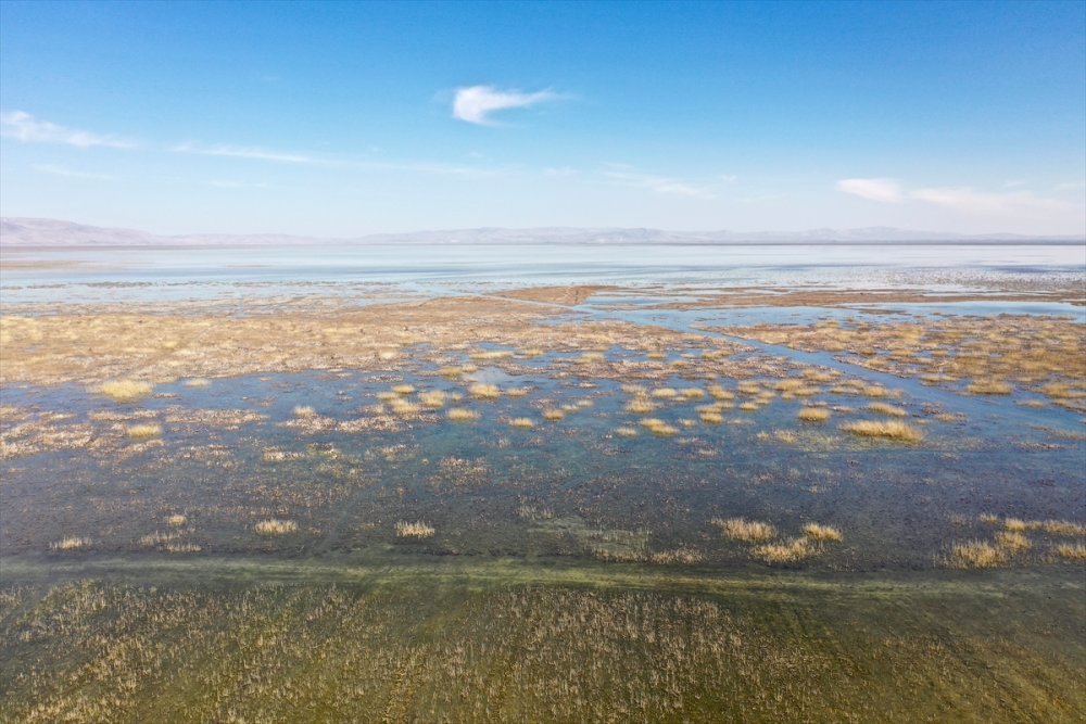 Akşehir Gölünde Maya Tuttu