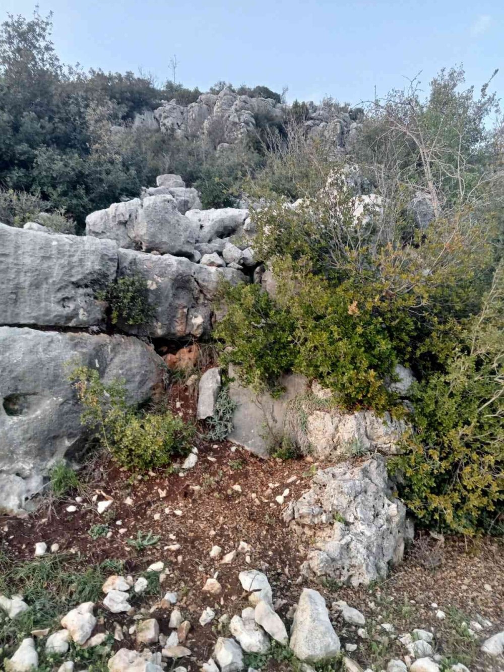 Kaybolan Çoban Yaralı Halde Bulundu