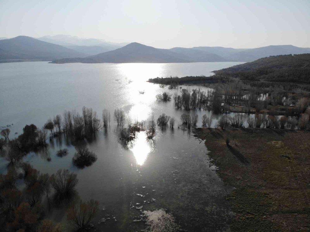 Konya'da Barajlar Doldu