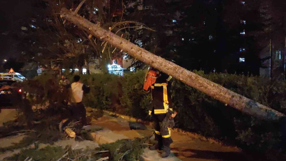 Otomobilini Kurtardı, Kendini Kurtaramadı