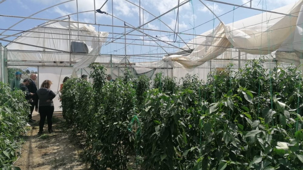 Antalya’da Hortum Seraları Vurdu