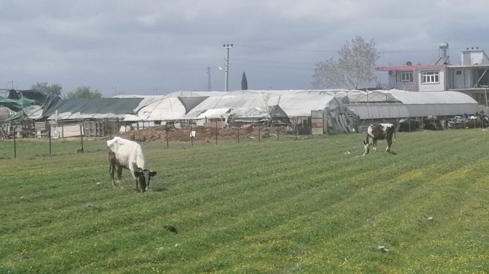 Antalya’da Hortum Seraları Vurdu