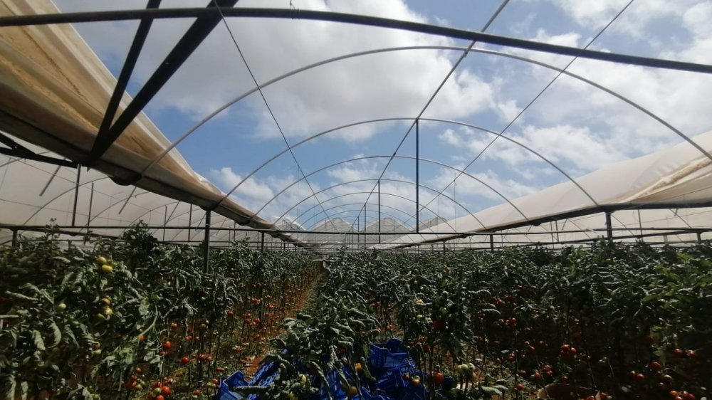 Antalya’da Hortum Seraları Vurdu