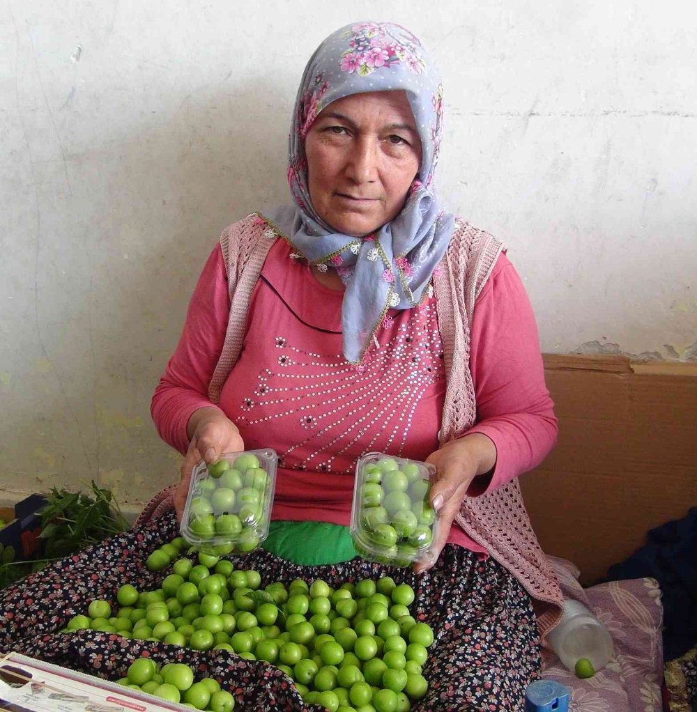 Eriğin Kilosu 20 İla 50 Lira Arasına Düştü