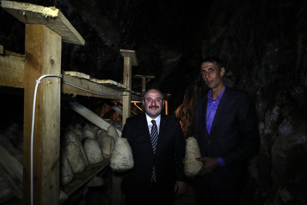 Mağaradan Gelen Lezzet: Divle Obruk Peyniri