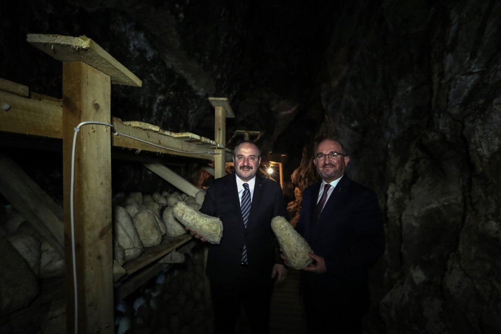 Mağaradan Gelen Lezzet: Divle Obruk Peyniri