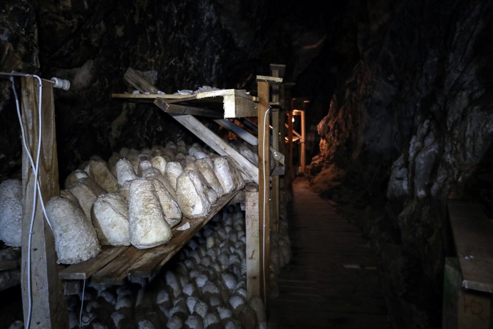 Mağaradan Gelen Lezzet: Divle Obruk Peyniri