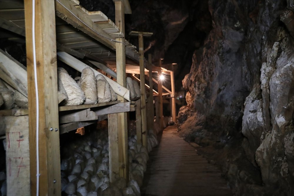 Mağaradan Gelen Lezzet: Divle Obruk Peyniri