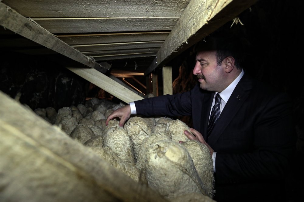 Mağaradan Gelen Lezzet: Divle Obruk Peyniri