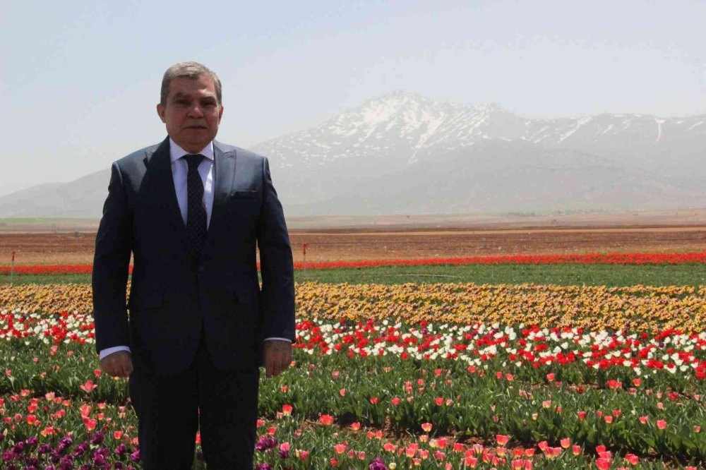 Karaman'da Lalelerin Renk Cümbüşü