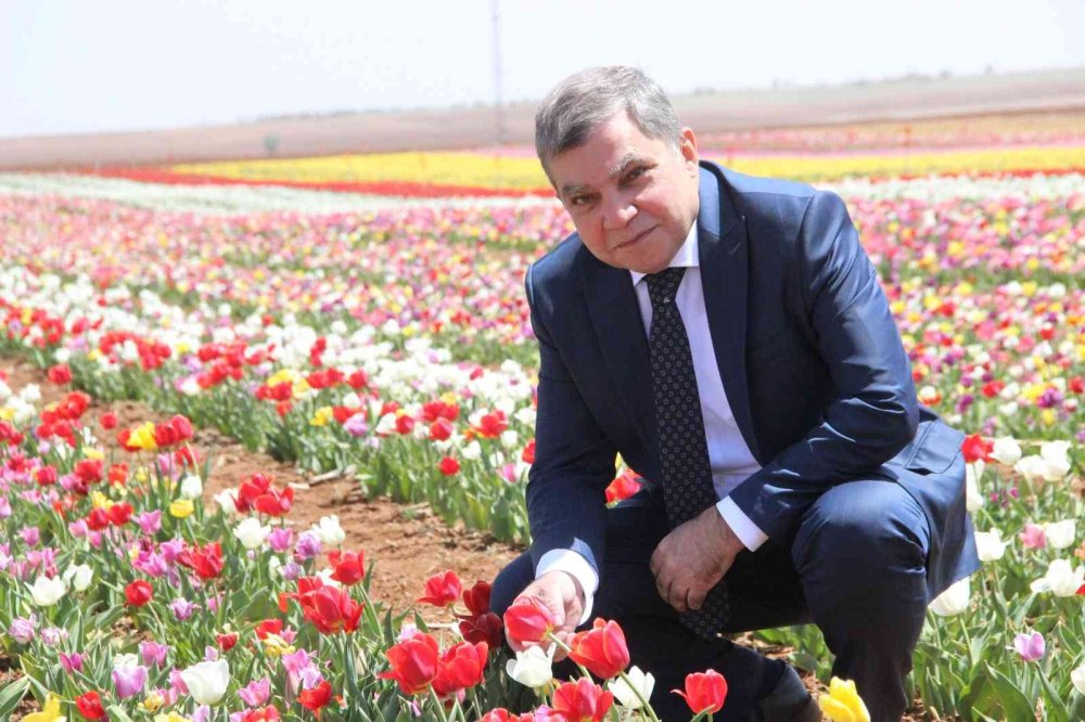 Karaman'da Lalelerin Renk Cümbüşü